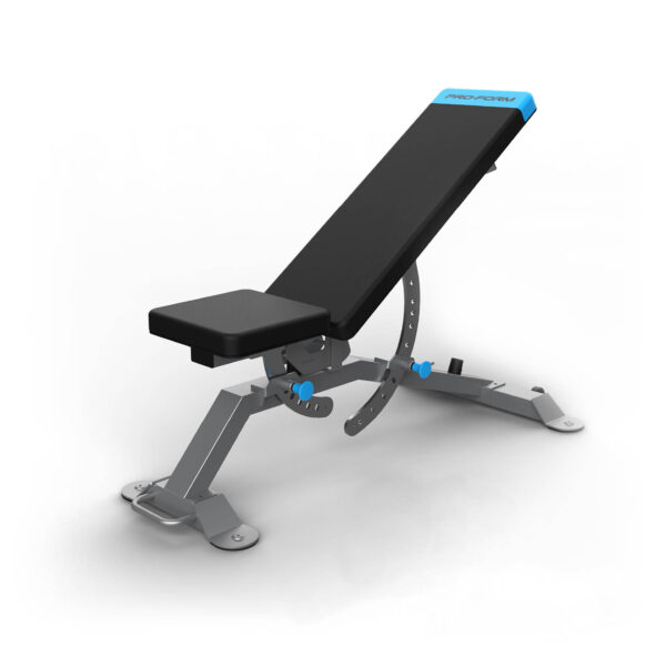 ProForm Carbon Adjustable Utility Bench